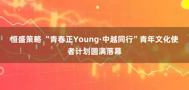 恒盛策略 “青春正Young·中越同行”青年文化使者计划圆满落幕