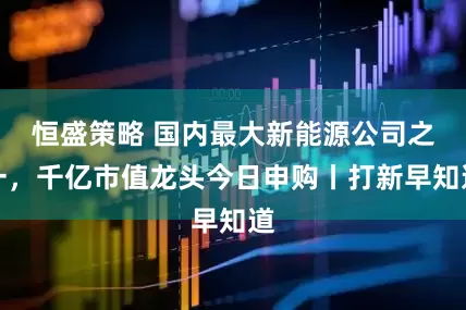 恒盛策略 国内最大新能源公司之一，千亿市值龙头今日申购丨打新早知道
