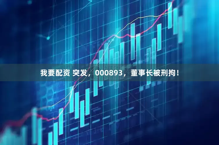 我要配资 突发，000893，董事长被刑拘！
